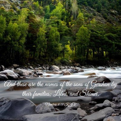 Picture 03 - Numbers 3:18 KJV - And these are the names of the sons of Gershon by - Bible Verse Picture