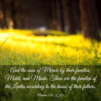 Picture 03 - Numbers 3:20 KJV - And the sons of Merari by their families; Mahli, - Bible Verse Picture