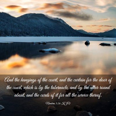 Picture 03 - Numbers 3:26 KJV - And the hangings of the court, and the curtain - Bible Verse Picture