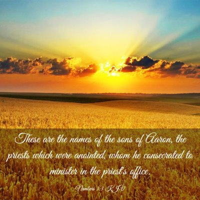 Picture 03 - Numbers 3:3 KJV - These are the names of the sons of Aaron, the - Bible Verse Picture