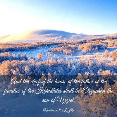 Picture 03 - Numbers 3:30 KJV - And the chief of the house of the father of the - Bible Verse Picture