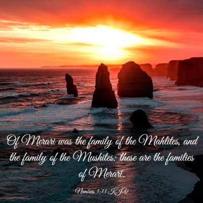 Picture 03 - Numbers 3:33 KJV - Of Merari was the family of the Mahlites, and the - Bible Verse Picture