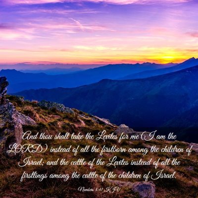 Picture 03 - Numbers 3:41 KJV - And thou shalt take the Levites for me (I am the - Bible Verse Picture