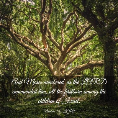 Picture 03 - Numbers 3:42 KJV - And Moses numbered, as the LORD commanded him, - Bible Verse Picture
