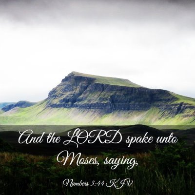 Picture 03 - Numbers 3:44 KJV - And the LORD spake unto Moses, - Bible Verse Picture