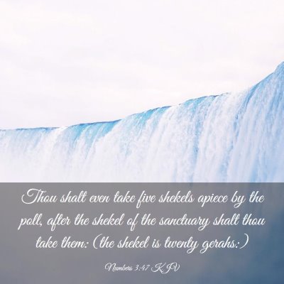 Picture 03 - Numbers 3:47 KJV - Thou shalt even take five shekels apiece by the - Bible Verse Picture