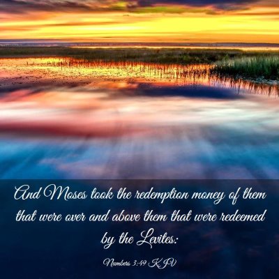 Picture 03 - Numbers 3:49 KJV - And Moses took the redemption money of them that - Bible Verse Picture