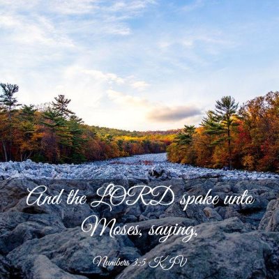 Picture 03 - Numbers 3:5 KJV - And the LORD spake unto Moses, - Bible Verse Picture