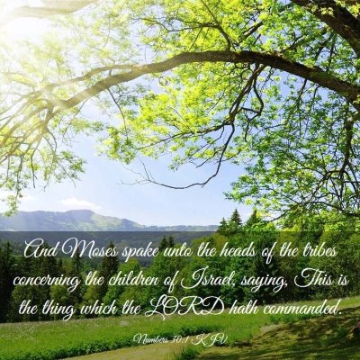 Picture 03 - Numbers 30:1 KJV - And Moses spake unto the heads of the tribes - Bible Verse Picture