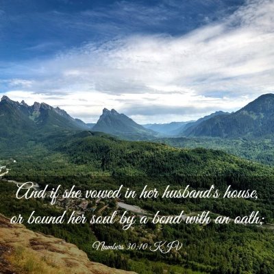 Picture 03 - Numbers 30:10 KJV - And if she vowed in her husband's house, or bound - Bible Verse Picture