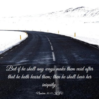 Picture 03 - Numbers 30:15 KJV - But if he shall any ways make them void after - Bible Verse Picture