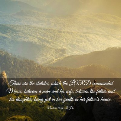 Picture 03 - Numbers 30:16 KJV - These are the statutes, which the LORD commanded - Bible Verse Picture