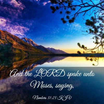 Picture 03 - Numbers 31:25 KJV - And the LORD spake unto Moses, - Bible Verse Picture