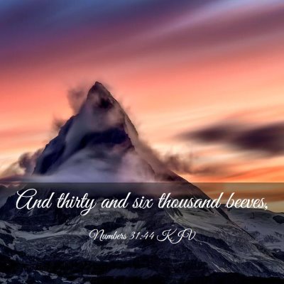 Picture 03 - Numbers 31:44 KJV - And thirty and six thousand - Bible Verse Picture