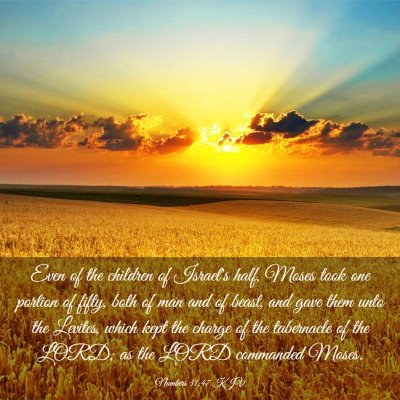 Picture 03 - Numbers 31:47 KJV - Even of the children of Israel's half, Moses took - Bible Verse Picture