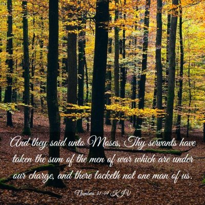 Picture 03 - Numbers 31:49 KJV - And they said unto Moses, Thy servants have taken - Bible Verse Picture