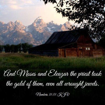 Picture 03 - Numbers 31:51 KJV - And Moses and Eleazar the priest took the gold of - Bible Verse Picture