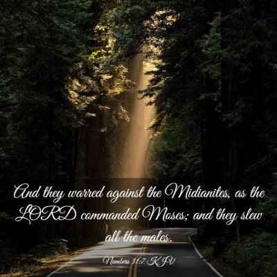 Picture 03 - Numbers 31:7 KJV - And they warred against the Midianites, as the - Bible Verse Picture