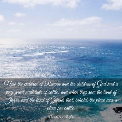 Picture 03 - Numbers 32:1 KJV - Now the children of Reuben and the children of - Bible Verse Picture