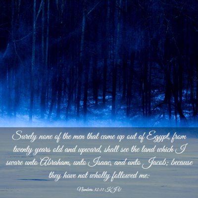 Picture 03 - Numbers 32:11 KJV - Surely none of the men that came up out of Egypt, - Bible Verse Picture