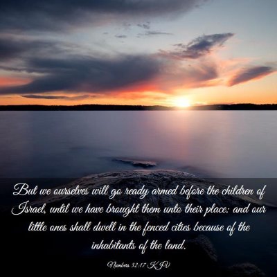 Picture 03 - Numbers 32:17 KJV - But we ourselves will go ready armed before the - Bible Verse Picture
