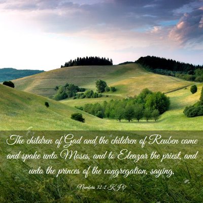 Picture 03 - Numbers 32:2 KJV - The children of Gad and the children of Reuben - Bible Verse Picture