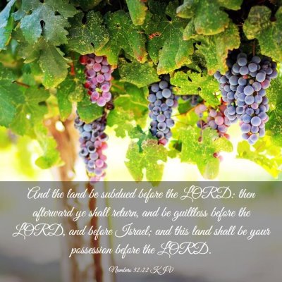Picture 03 - Numbers 32:22 KJV - And the land be subdued before the LORD: then - Bible Verse Picture