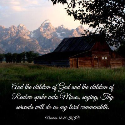 Picture 03 - Numbers 32:25 KJV - And the children of Gad and the children of - Bible Verse Picture