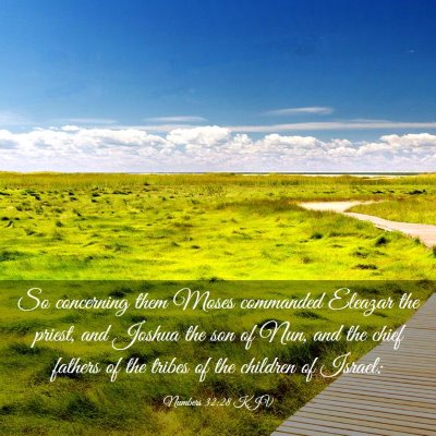 Picture 03 - Numbers 32:28 KJV - So concerning them Moses commanded Eleazar the - Bible Verse Picture
