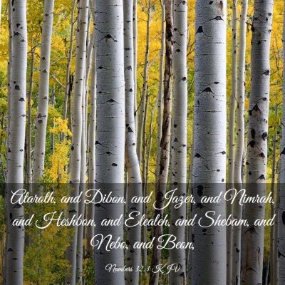 Picture 03 - Numbers 32:3 KJV - Ataroth, and Dibon, and Jazer, and Nimrah, and - Bible Verse Picture
