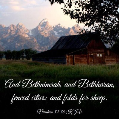 Picture 03 - Numbers 32:36 KJV - And Bethnimrah, and Bethharan, fenced cities: and - Bible Verse Picture