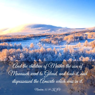 Picture 03 - Numbers 32:39 KJV - And the children of Machir the son of Manasseh - Bible Verse Picture