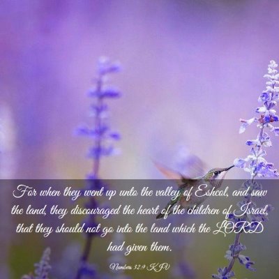 Picture 03 - Numbers 32:9 KJV - For when they went up unto the valley of Eshcol, - Bible Verse Picture