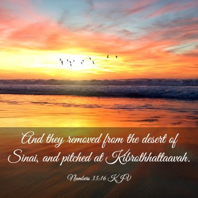 Picture 03 - Numbers 33:16 KJV - And they removed from the desert of Sinai, and - Bible Verse Picture