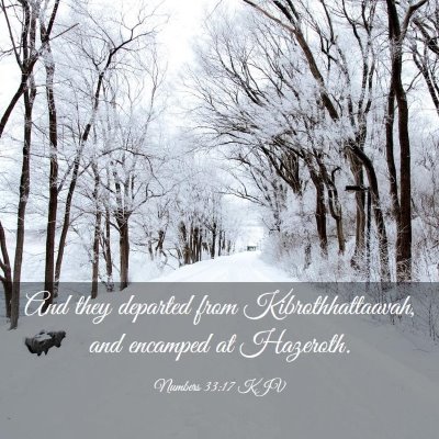 Picture 03 - Numbers 33:17 KJV - And they departed from Kibrothhattaavah, and - Bible Verse Picture