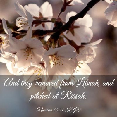 Picture 03 - Numbers 33:21 KJV - And they removed from Libnah, and pitched at - Bible Verse Picture