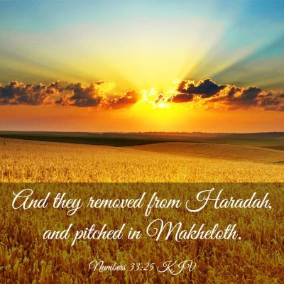 Picture 03 - Numbers 33:25 KJV - And they removed from Haradah, and pitched in - Bible Verse Picture