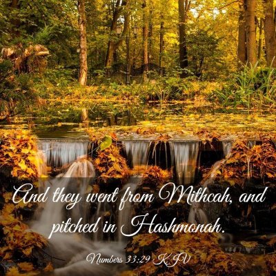 Picture 03 - Numbers 33:29 KJV - And they went from Mithcah, and pitched in - Bible Verse Picture