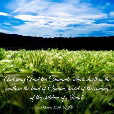 Picture 03 - Numbers 33:40 KJV - And king Arad the Canaanite, which dwelt in the - Bible Verse Picture