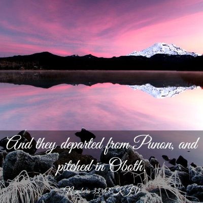 Picture 03 - Numbers 33:43 KJV - And they departed from Punon, and pitched in - Bible Verse Picture