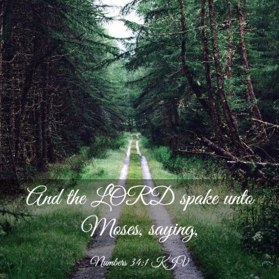 Picture 03 - Numbers 34:1 KJV - And the LORD spake unto Moses, - Bible Verse Picture
