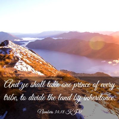 Picture 03 - Numbers 34:18 KJV - And ye shall take one prince of every tribe, to - Bible Verse Picture