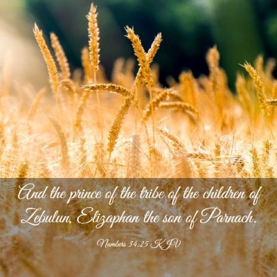 Picture 03 - Numbers 34:25 KJV - And the prince of the tribe of the children of - Bible Verse Picture