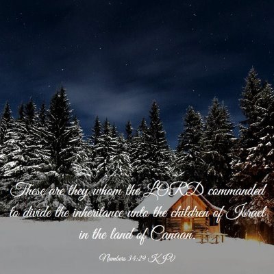 Picture 03 - Numbers 34:29 KJV - These are they whom the LORD commanded to divide - Bible Verse Picture