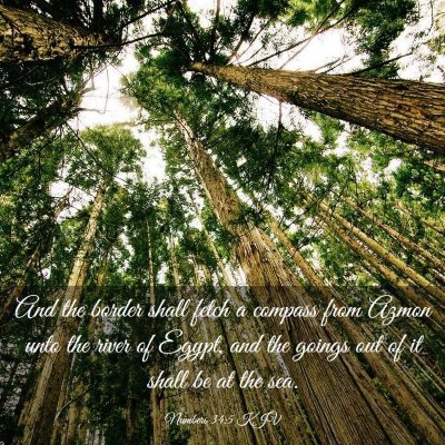 Picture 03 - Numbers 34:5 KJV - And the border shall fetch a compass from Azmon - Bible Verse Picture