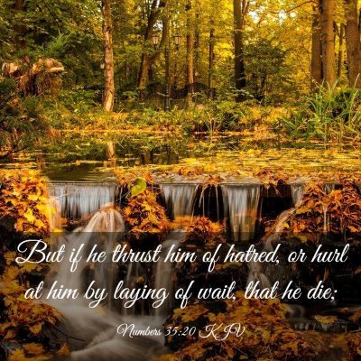 Picture 03 - Numbers 35:20 KJV - But if he thrust him of hatred, or hurl at him by - Bible Verse Picture