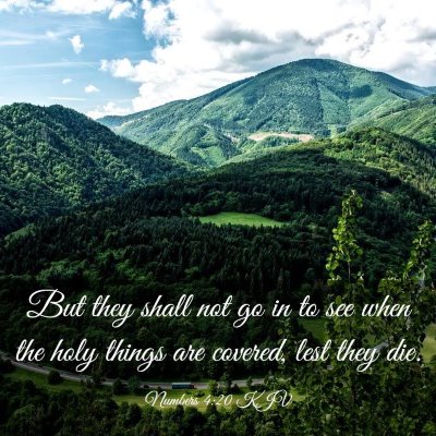 Picture 03 - Numbers 4:20 KJV - But they shall not go in to see when the holy - Bible Verse Picture