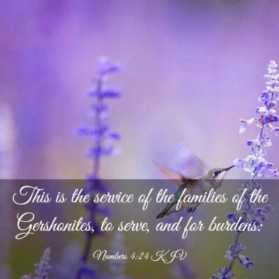 Picture 03 - Numbers 4:24 KJV - This is the service of the families of the - Bible Verse Picture