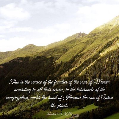 Picture 03 - Numbers 4:33 KJV - This is the service of the families of the sons - Bible Verse Picture