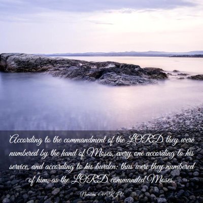 Picture 03 - Numbers 4:49 KJV - According to the commandment of the LORD they - Bible Verse Picture